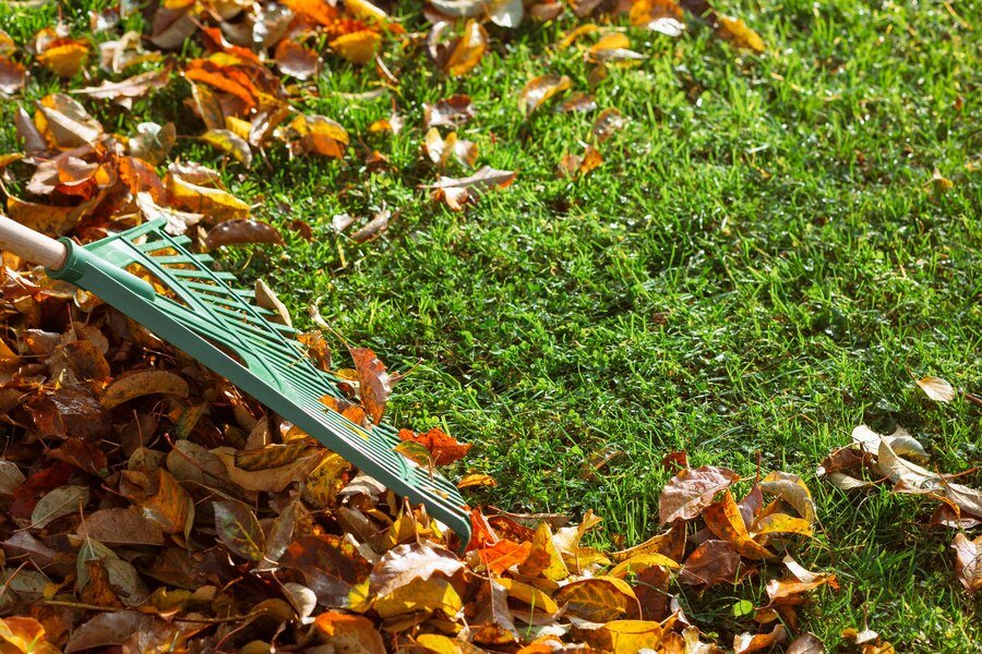 A green rake rests on a vibrant patch of grass, surrounded by piles of colorful autumn leaves, showcasing a fall garden scene.