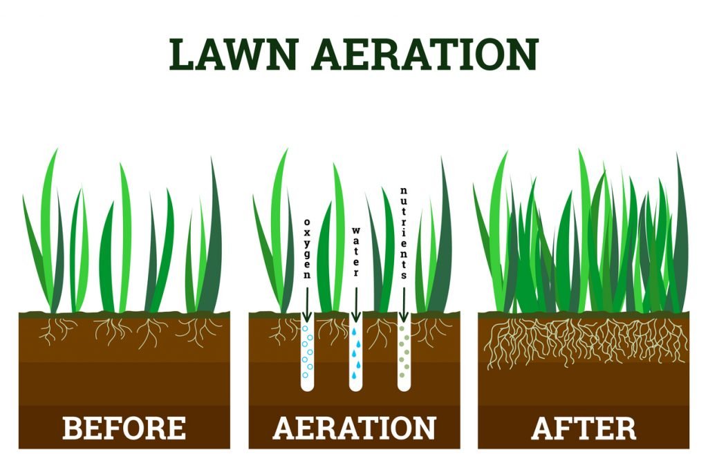 Illustration showing lawn aeration process: before, during (oxygen, water, nutrients added), and after with healthy grass growth.