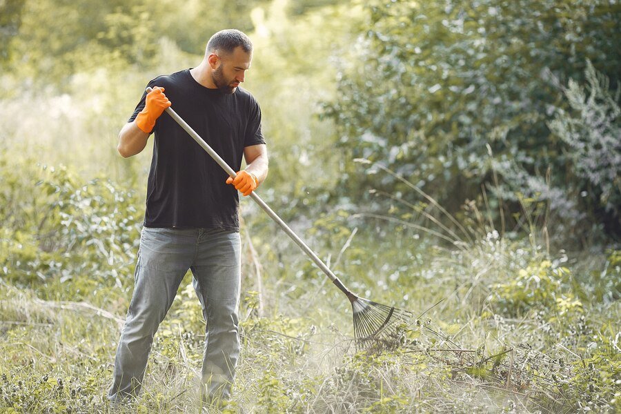 A person wearing orange gloves rakes leaves in a sunlit, overgrown field surrounded by greenery.